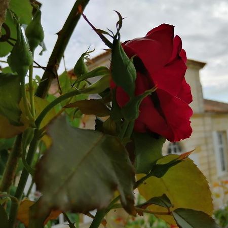 Domaine Du Chauvet Hotell Sainte-Eulalie  Eksteriør bilde