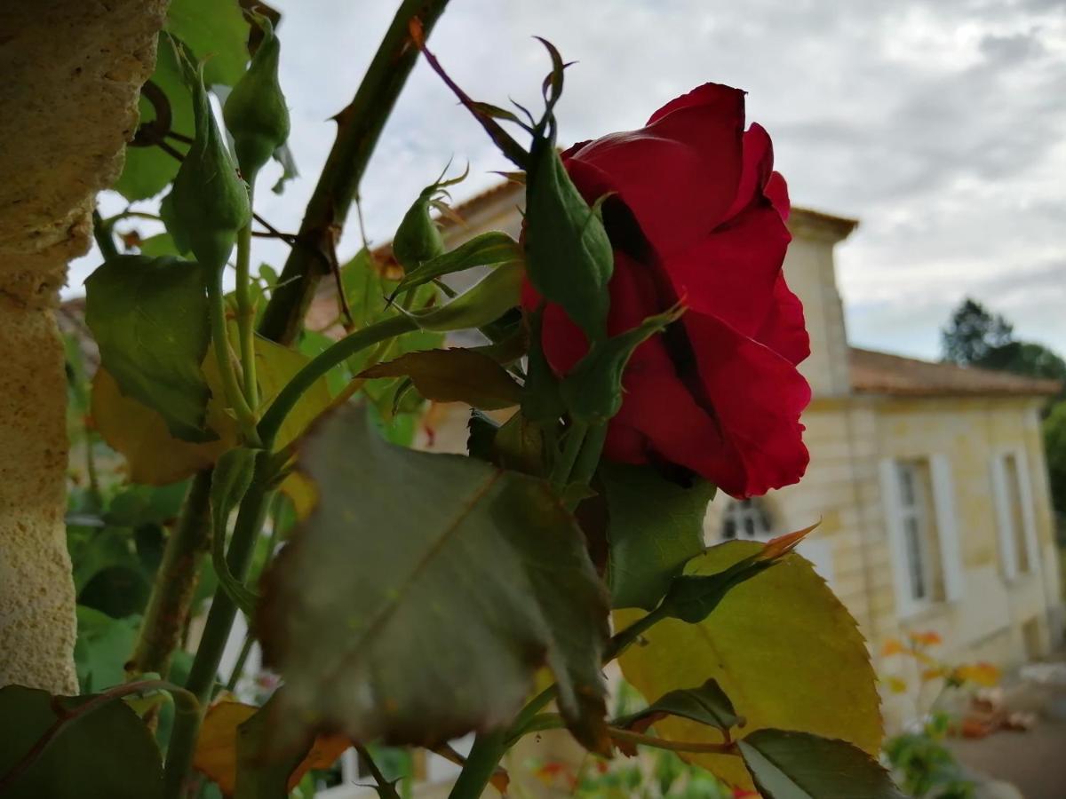 Domaine Du Chauvet Hotell Sainte-Eulalie  Eksteriør bilde